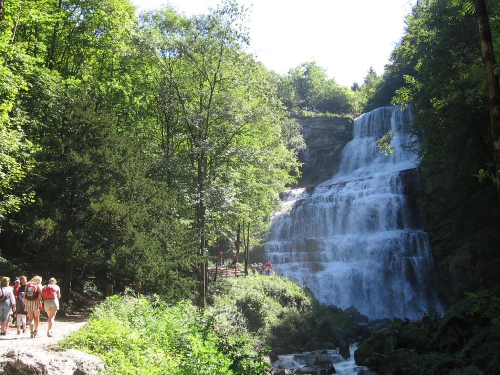 Gite Grande Capacite Au Calme Circuit Cascades Du Herisson Bonlieu Buitenkant foto